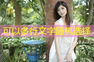 上海的非 __ 组织作用